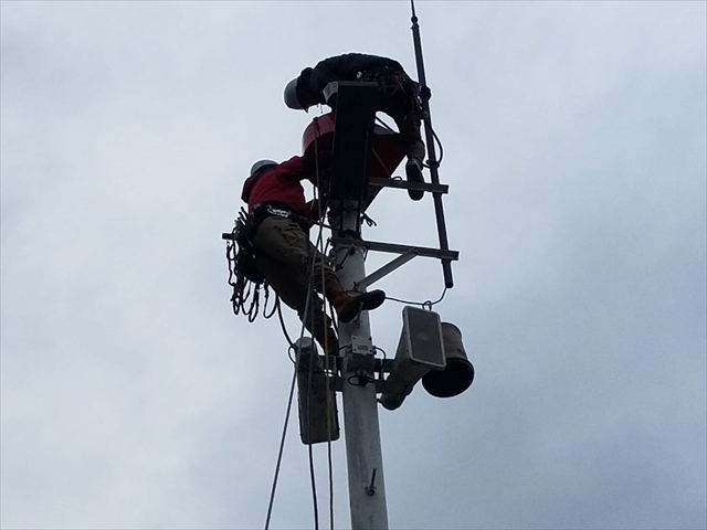 トラスト・リンク株式会社_007